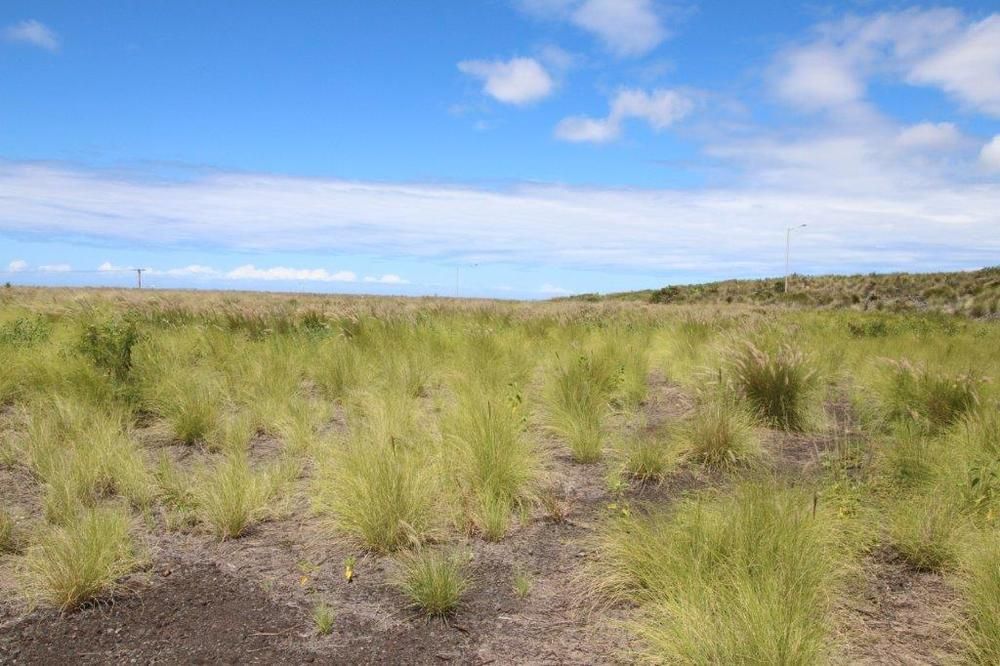Kaloko Commercial Cr. - Lot 3: Olowalu and Kamanu Streets, Kailua Kona, HI 96740